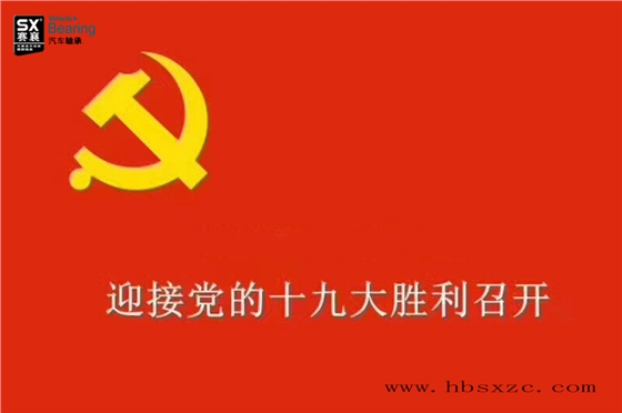 十九大.賽襄軸承網站資訊